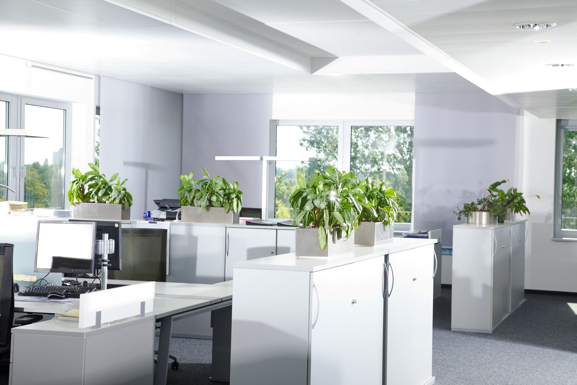 Resume Writing Services Blackburn VIC